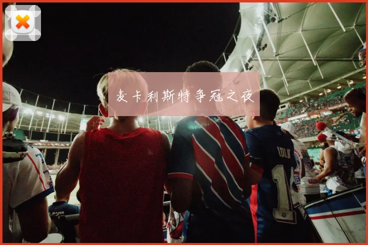 麦卡利斯特争冠之夜