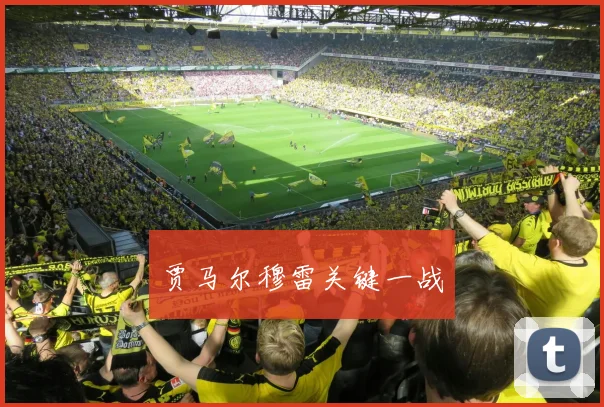 贾马尔穆雷关键一战