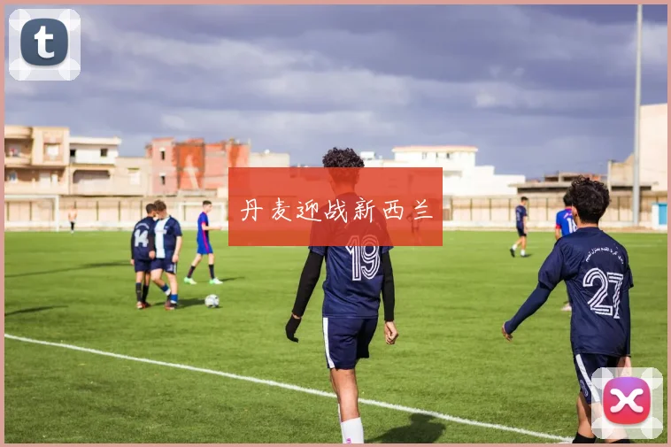 丹麦迎战新西兰