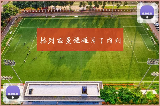 格列兹曼强碰马丁内利