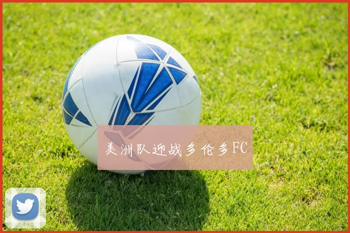 美洲队迎战多伦多FC