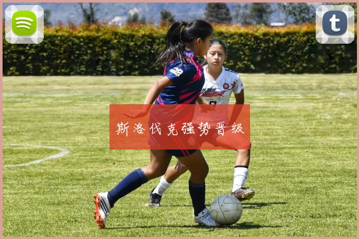 斯洛伐克强势晋级
