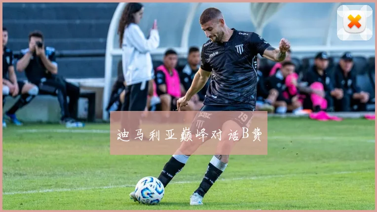 迪马利亚巅峰对话B费