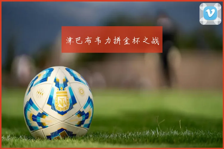 津巴布韦力拼金杯之战
