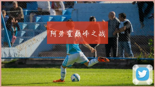 阿劳霍巅峰之战