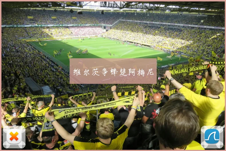 维尔茨争锋楚阿梅尼
