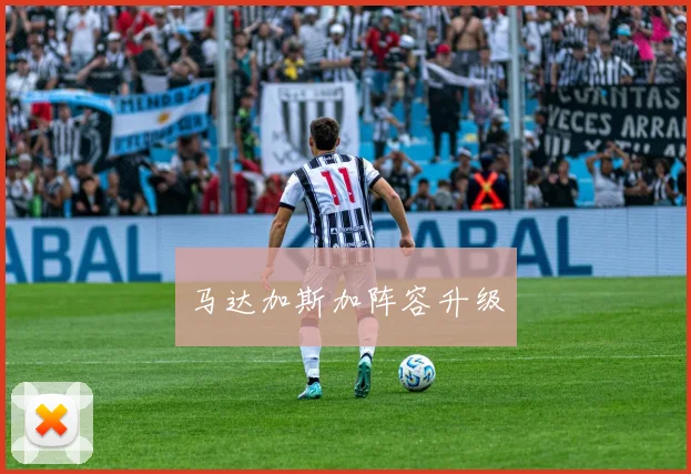 马达加斯加阵容升级