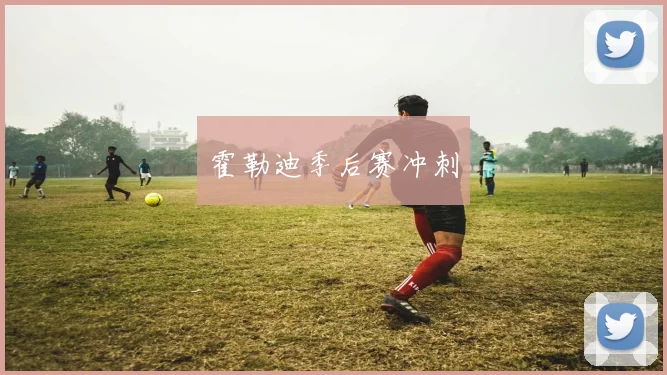霍勒迪季后赛冲刺