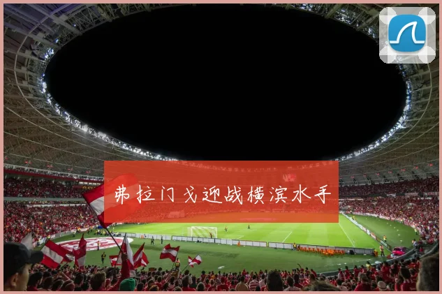 弗拉门戈迎战横滨水手