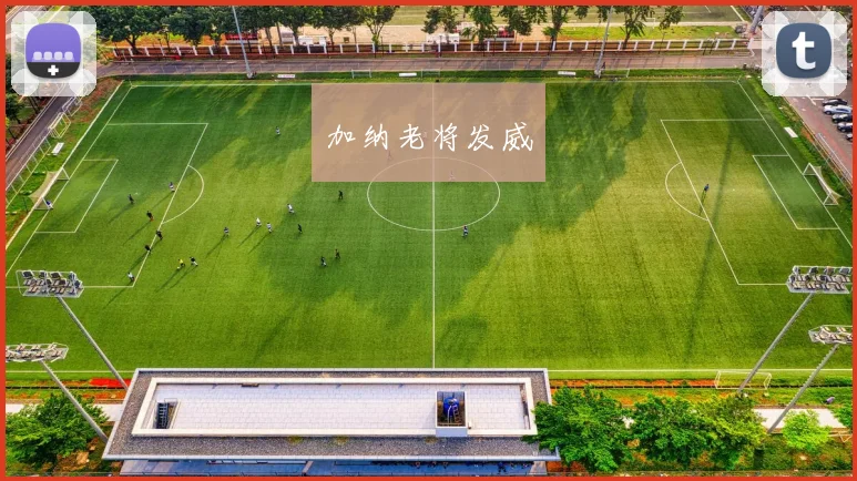 加纳老将发威