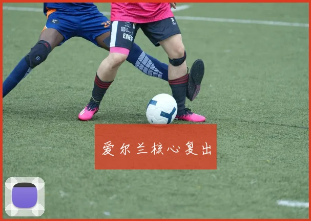 爱尔兰核心复出