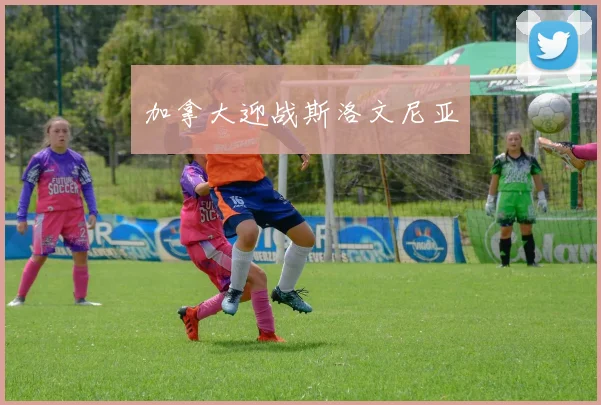 加拿大迎战斯洛文尼亚