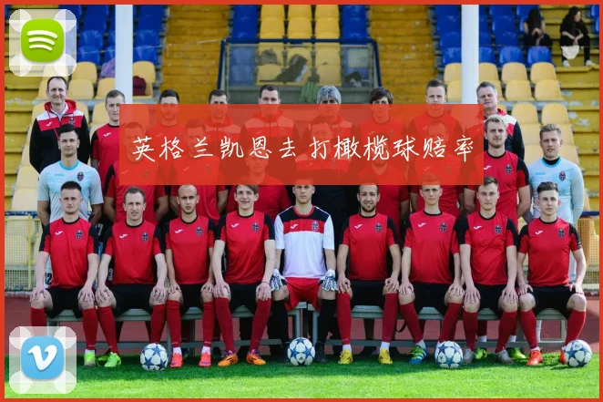 英格兰凯恩去打橄榄球赔率