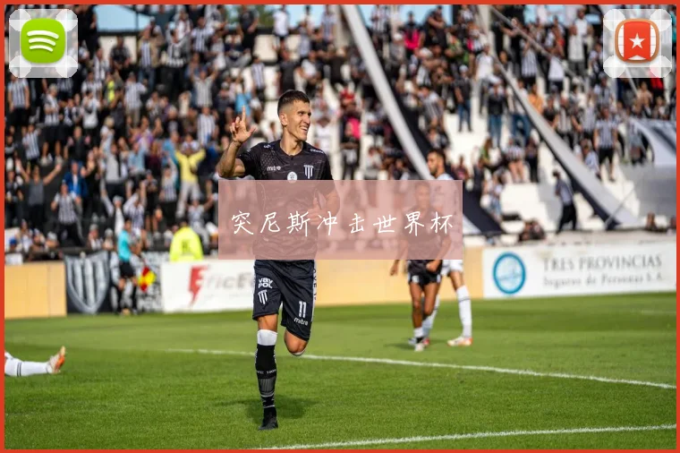 突尼斯冲击世界杯
