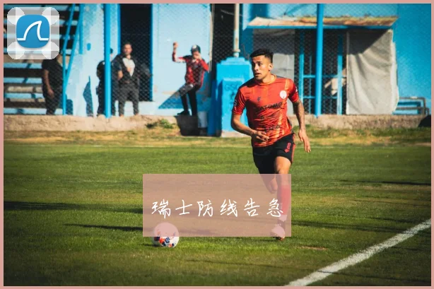 瑞士防线告急