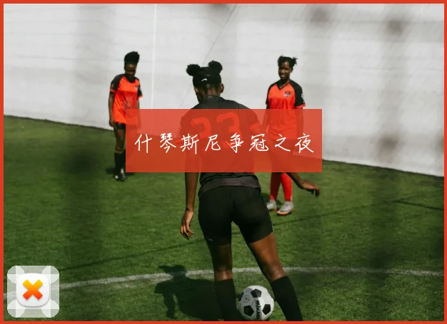 什琴斯尼争冠之夜