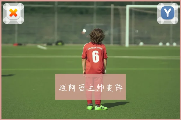 迈阿密主帅变阵