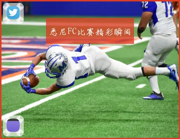 悉尼FC比赛精彩瞬间