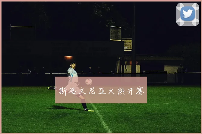 斯洛文尼亚火热开赛