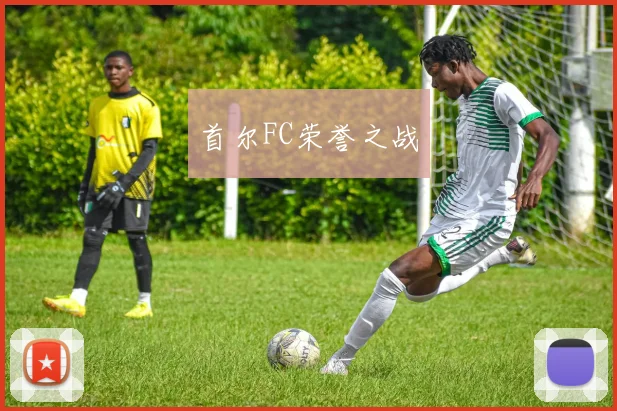 首尔FC荣誉之战