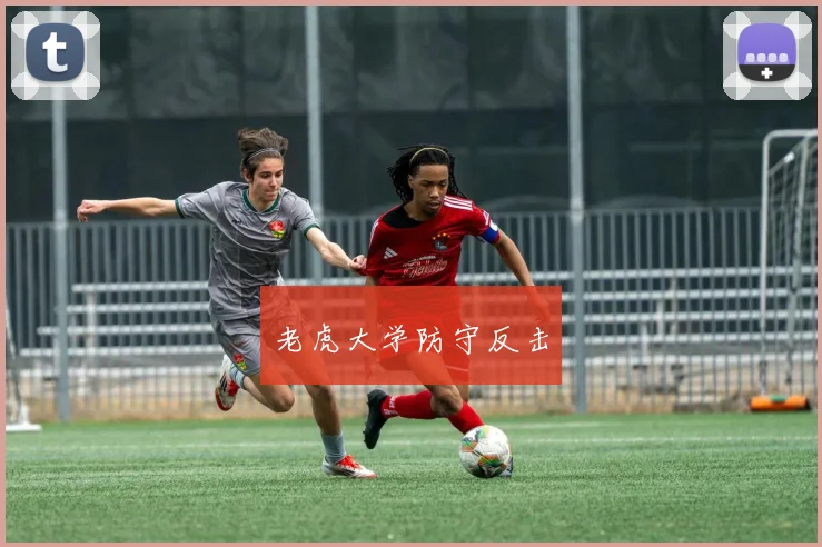 老虎大学防守反击