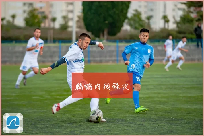 鹈鹕内线强攻