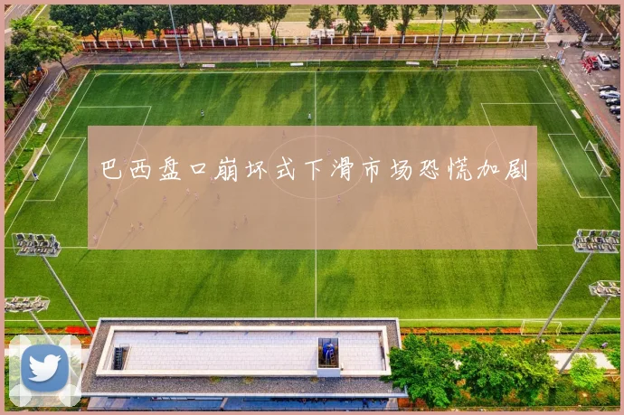 巴西盘口崩坏式下滑市场恐慌加剧