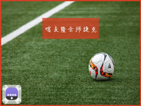 喀麦隆会师捷克