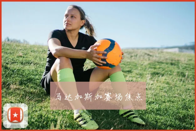 马达加斯加赛场焦点