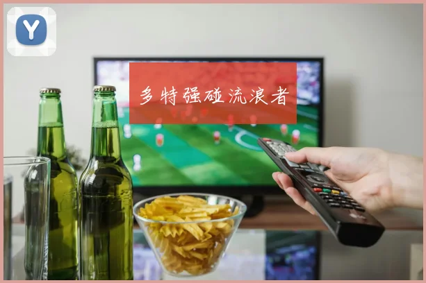 多特强碰流浪者