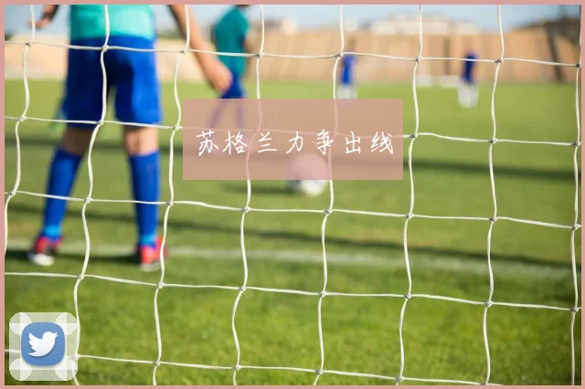 苏格兰力争出线
