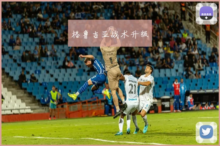 格鲁吉亚战术升级
