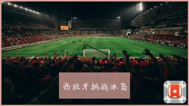 西班牙挑战冰岛