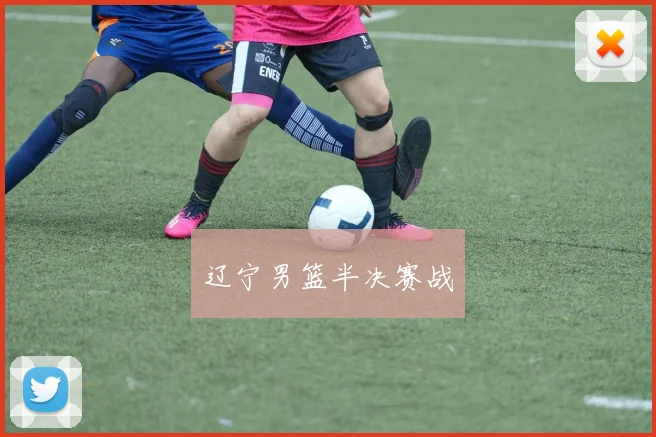 辽宁男篮半决赛战