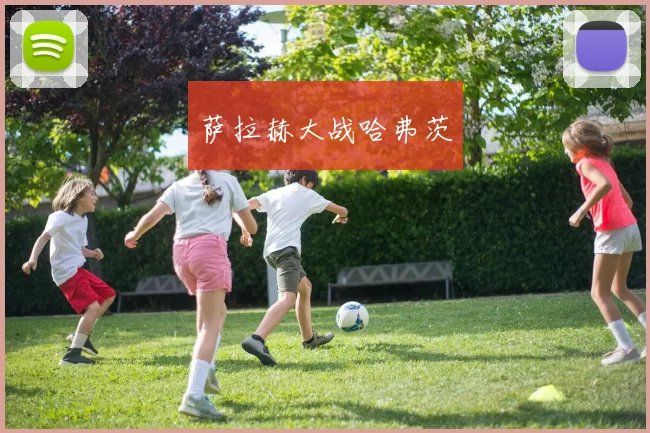 萨拉赫大战哈弗茨