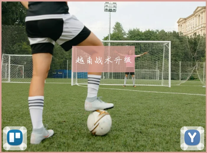 越南战术升级