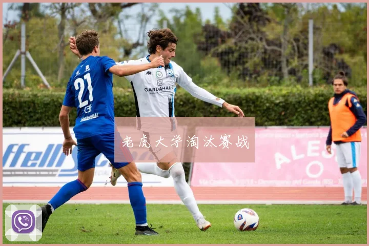 老虎大学淘汰赛战