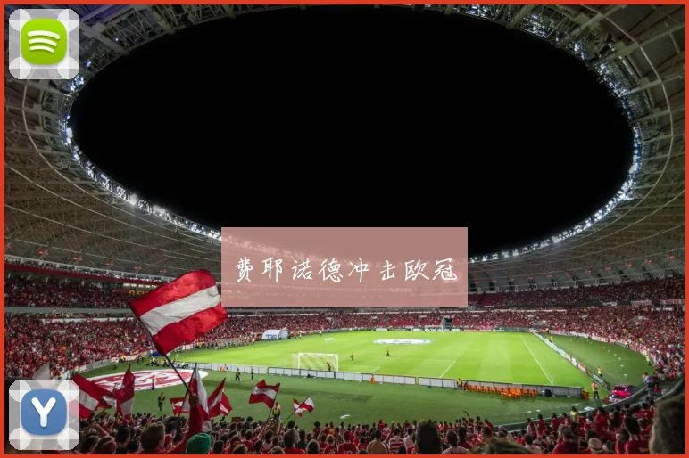 费耶诺德冲击欧冠
