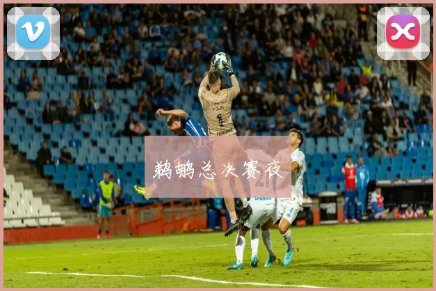 鹈鹕总决赛夜