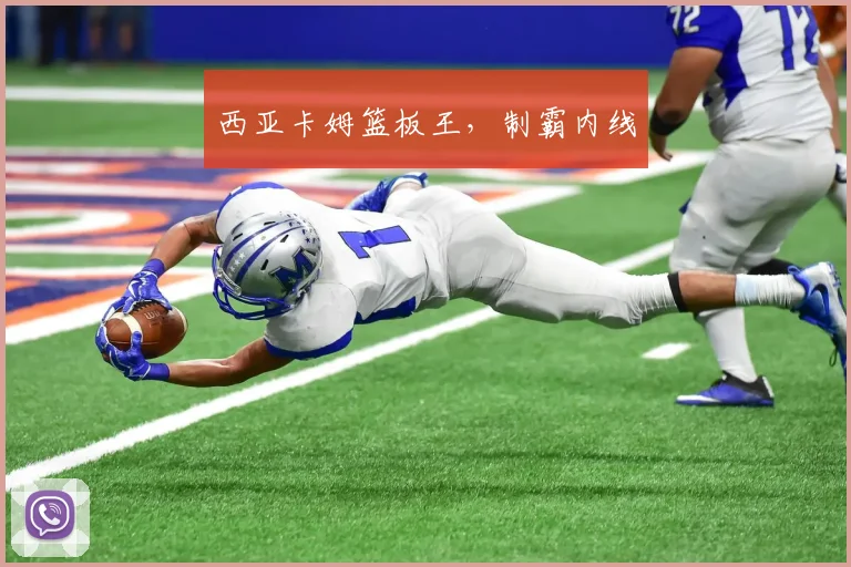 西亚卡姆篮板王，制霸内线