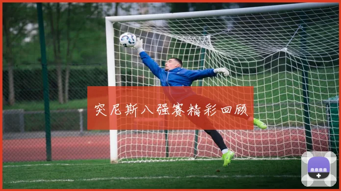 突尼斯八强赛精彩回顾