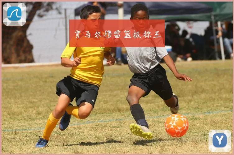 贾马尔穆雷篮板称王