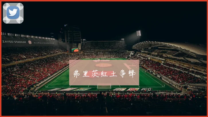 弗里茨红土争锋