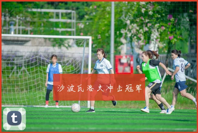 沙波瓦洛夫冲击冠军