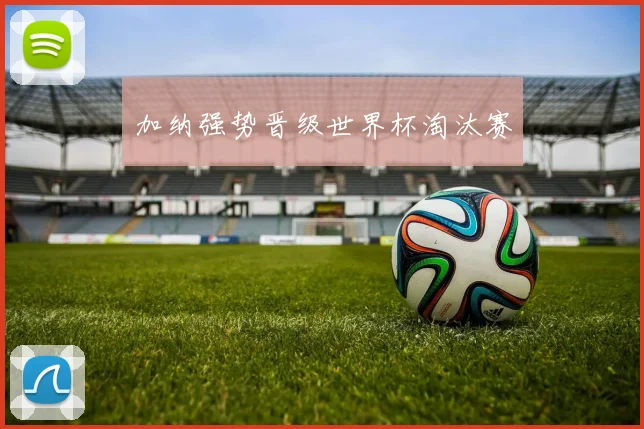 加纳强势晋级世界杯淘汰赛