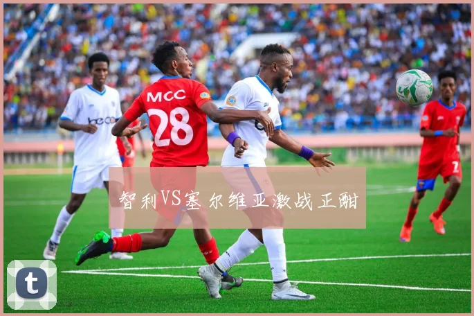 智利VS塞尔维亚激战正酣