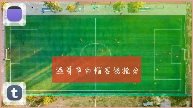 温哥华白帽客场抢分