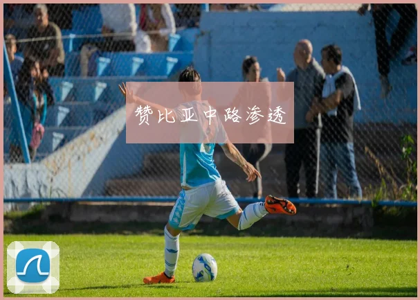 赞比亚中路渗透