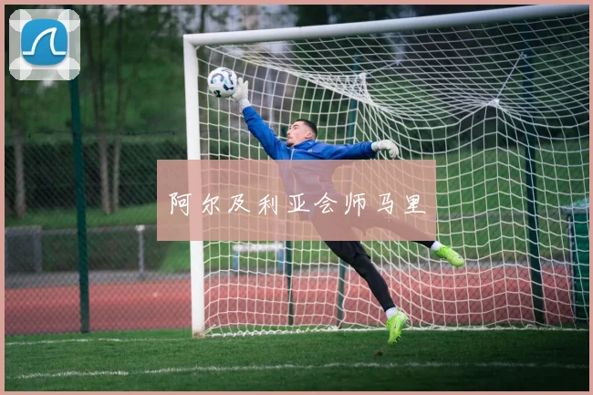 阿尔及利亚会师马里