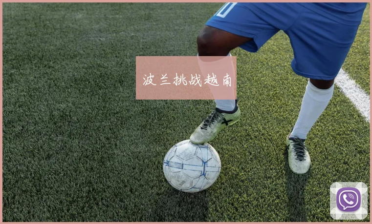 波兰挑战越南
